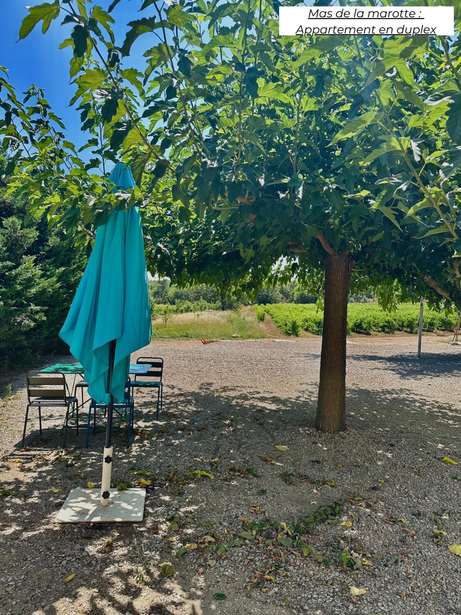 דירות Ollières Domaine Les Terres De Saint-Hilaire מראה חיצוני תמונה
