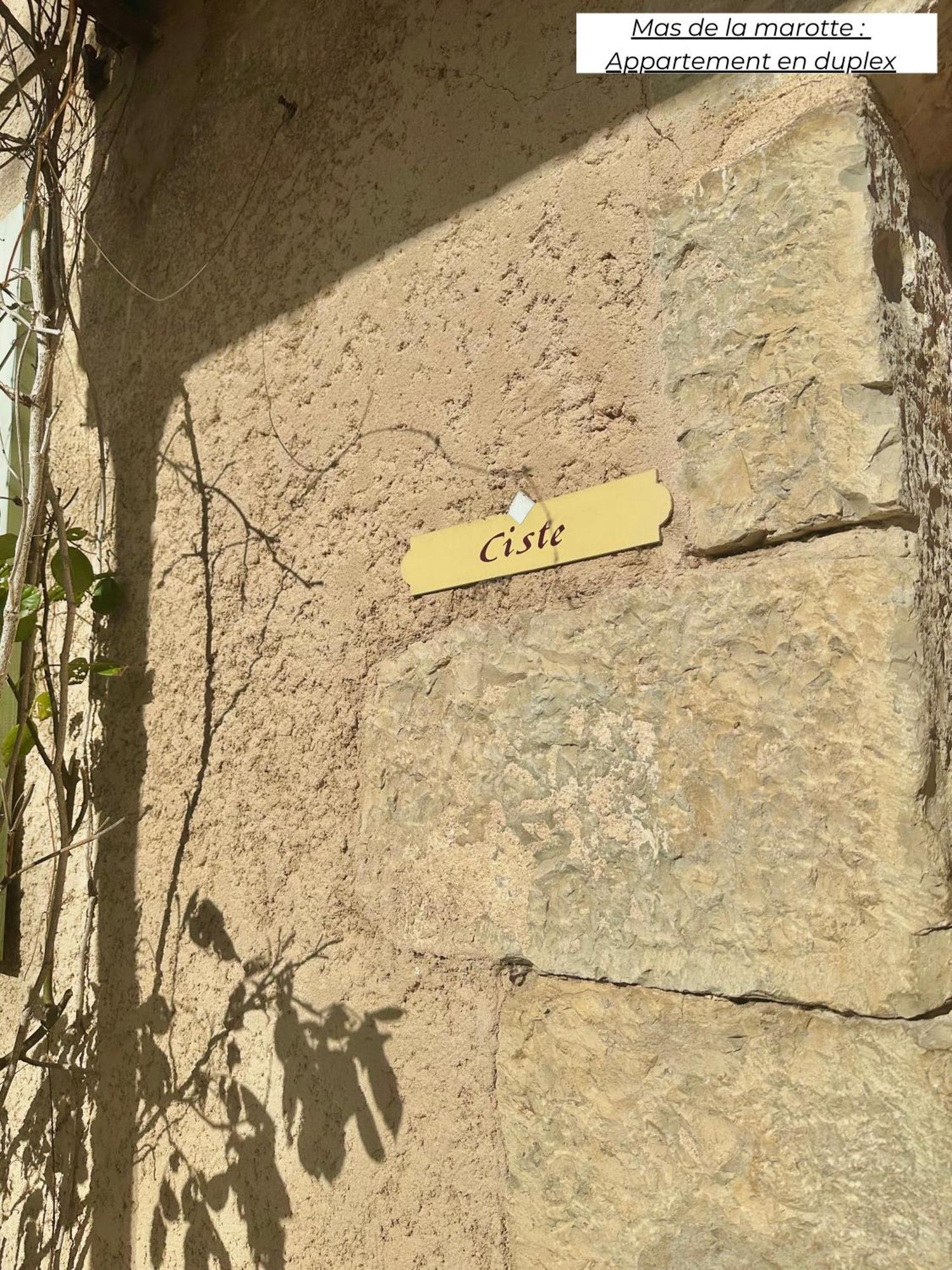 דירות Ollières Domaine Les Terres De Saint-Hilaire מראה חיצוני תמונה