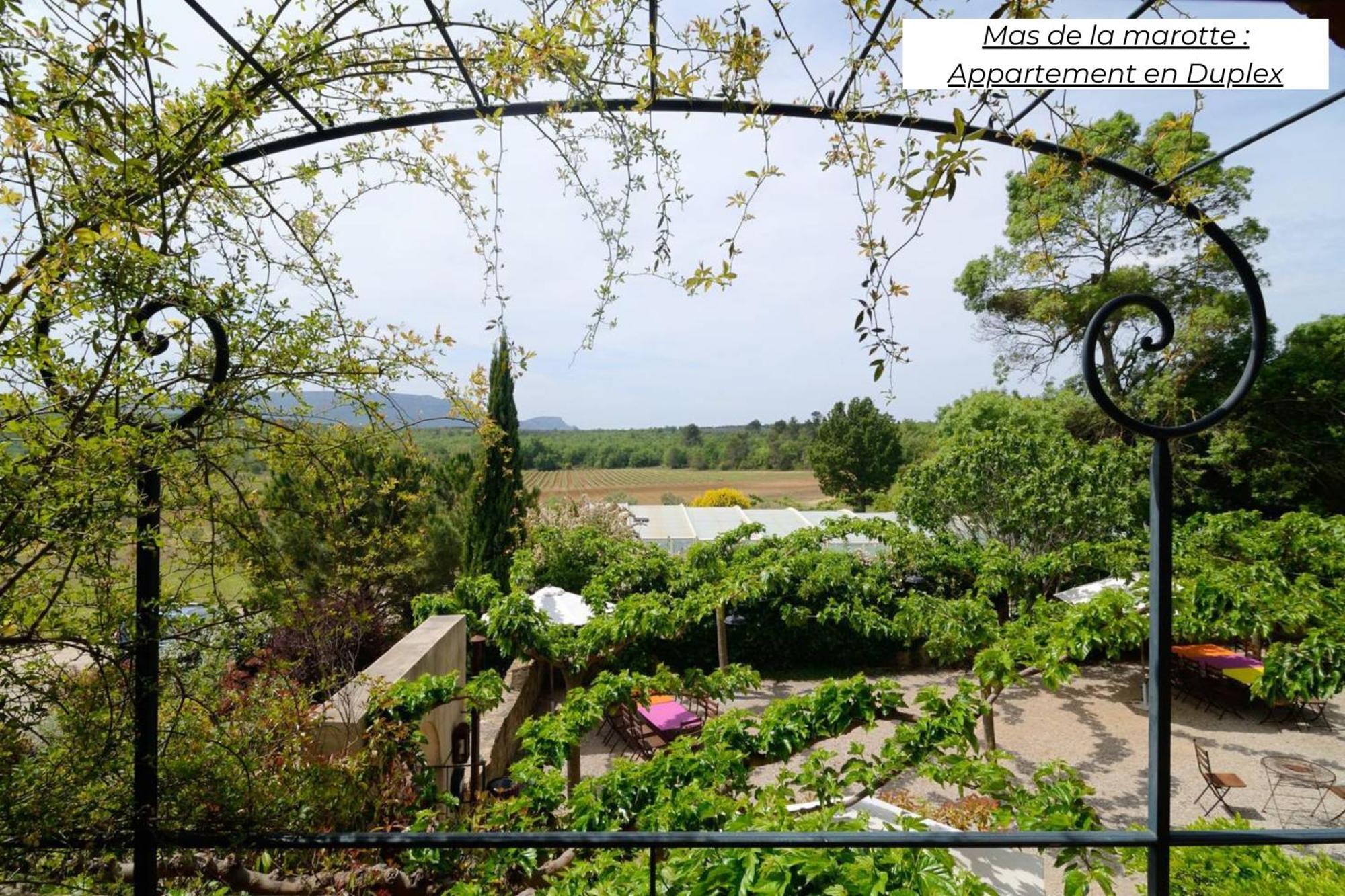 דירות Ollières Domaine Les Terres De Saint-Hilaire מראה חיצוני תמונה